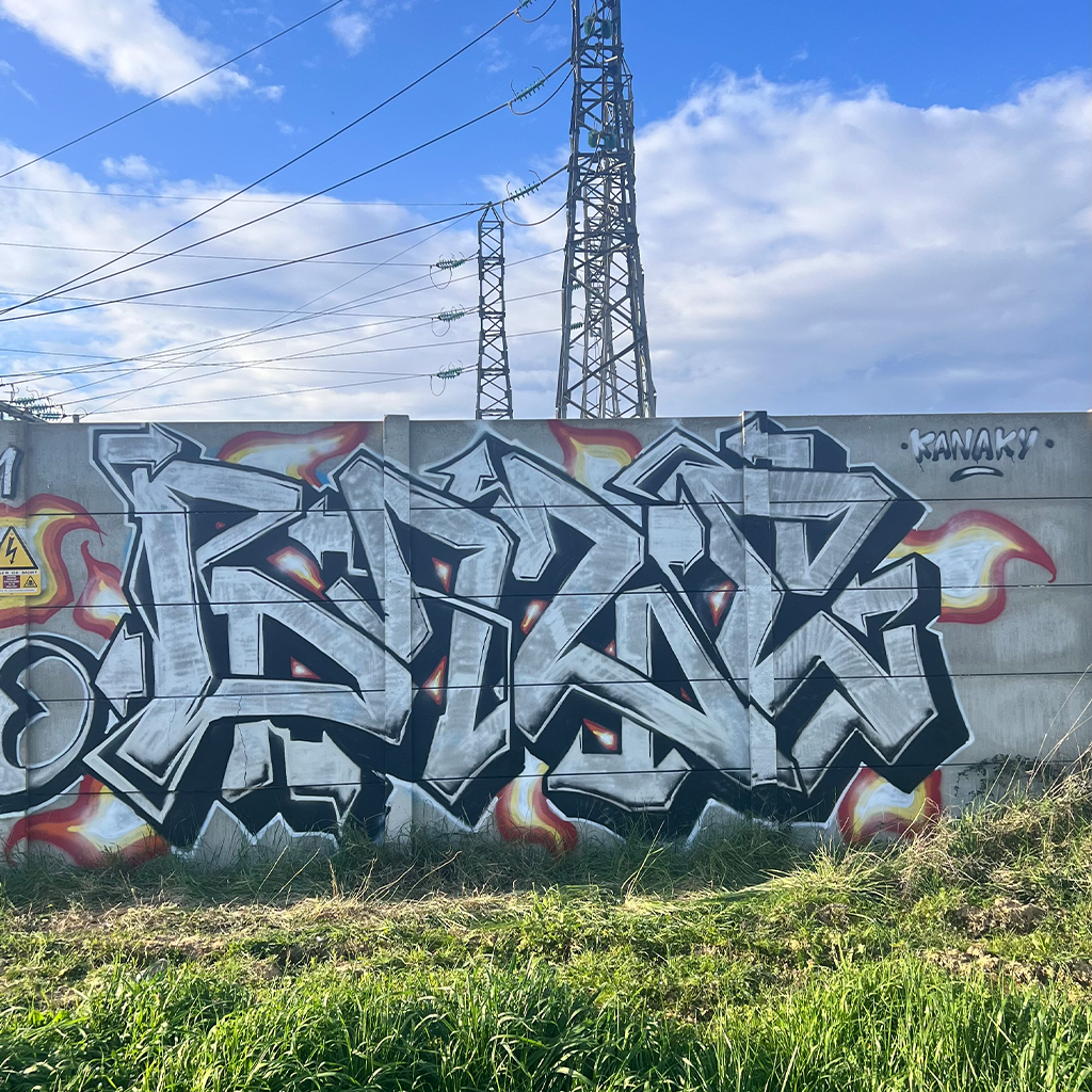 graff gris